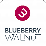Blueberry Walnut