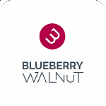 BlueBerry Walnut