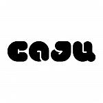 caju | der faire cashew snack